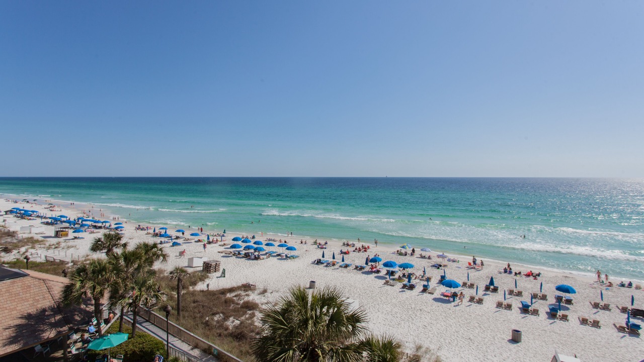 Photo of Others in Biltmore Beach