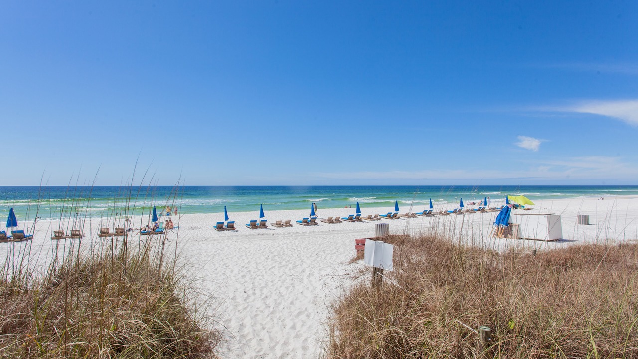 Photo of Others in Biltmore Beach