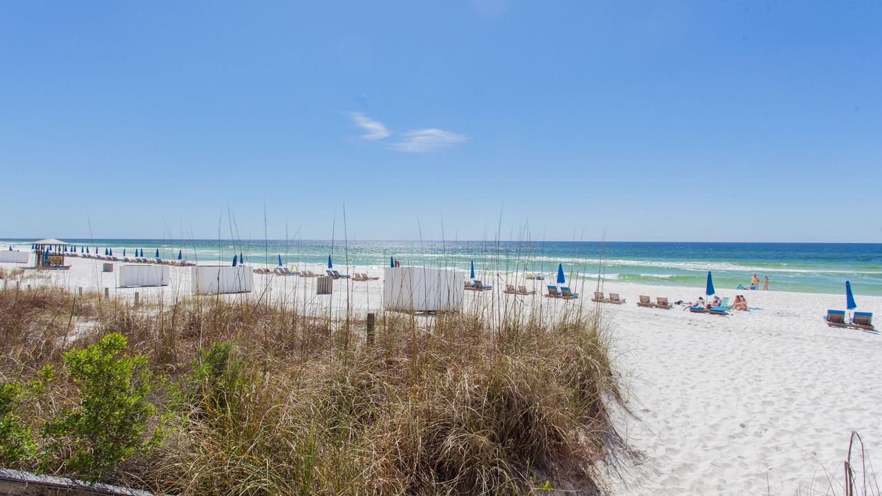 Photo of Others in Biltmore Beach