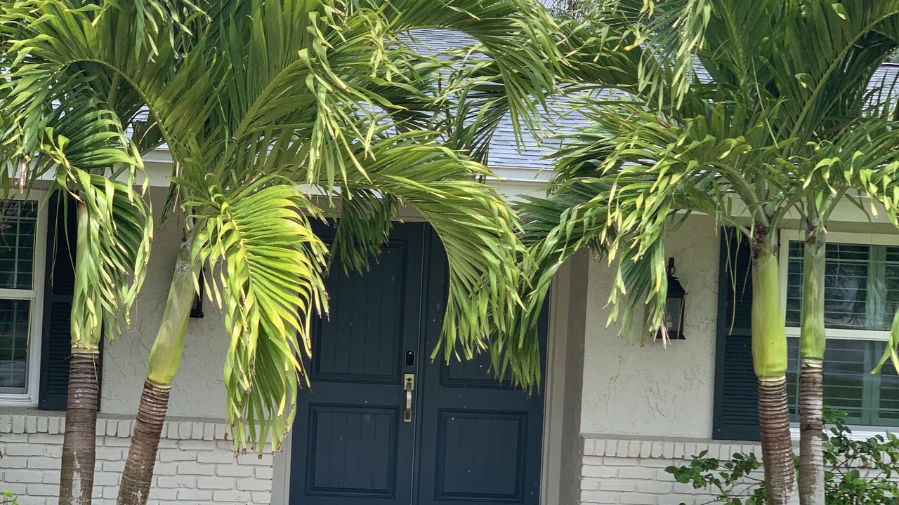 Photo of Others in Indialantic