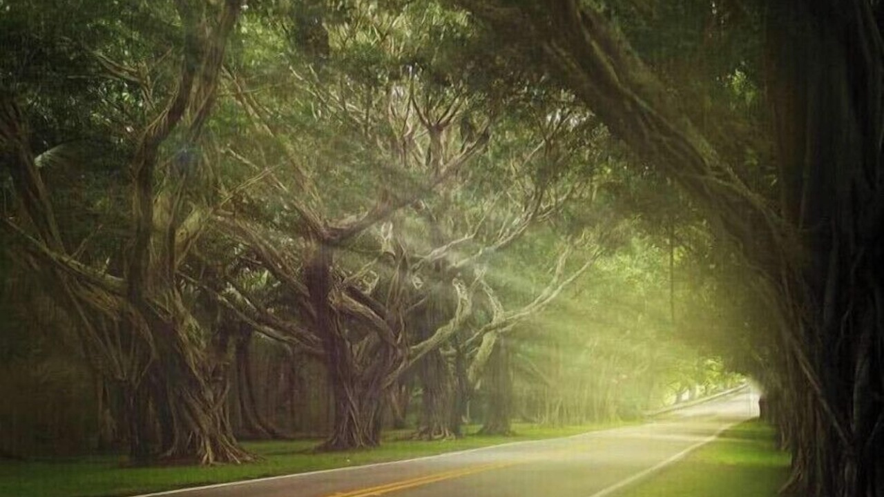 Photo of Others in Hobe Sound