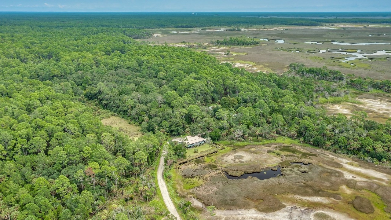 Photo of Outdoor in Wakulla Beach