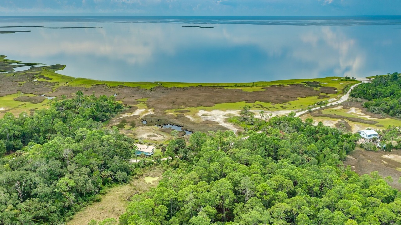 Photo of Outdoor in Wakulla Beach