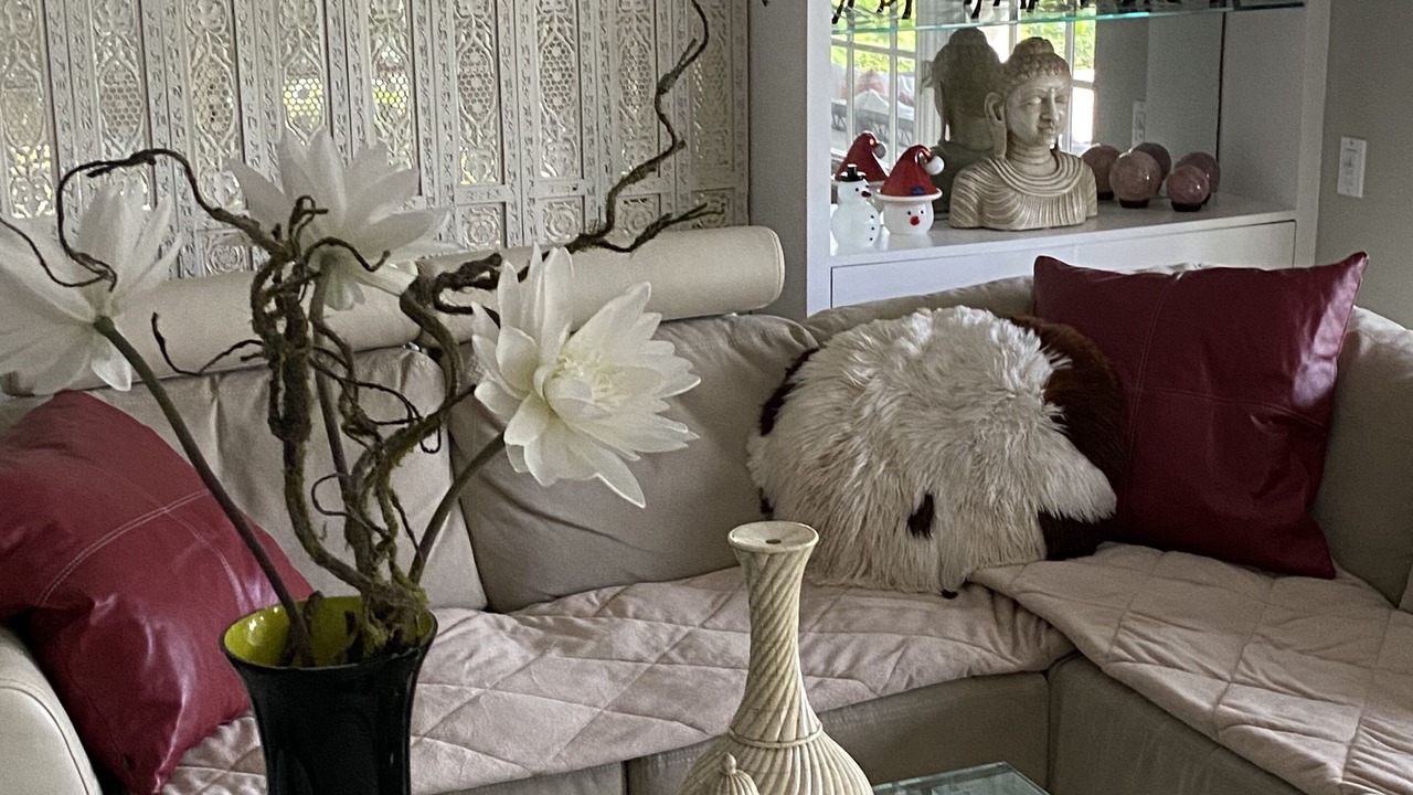Photo of Livingroom in Hendricks and Venice Isles