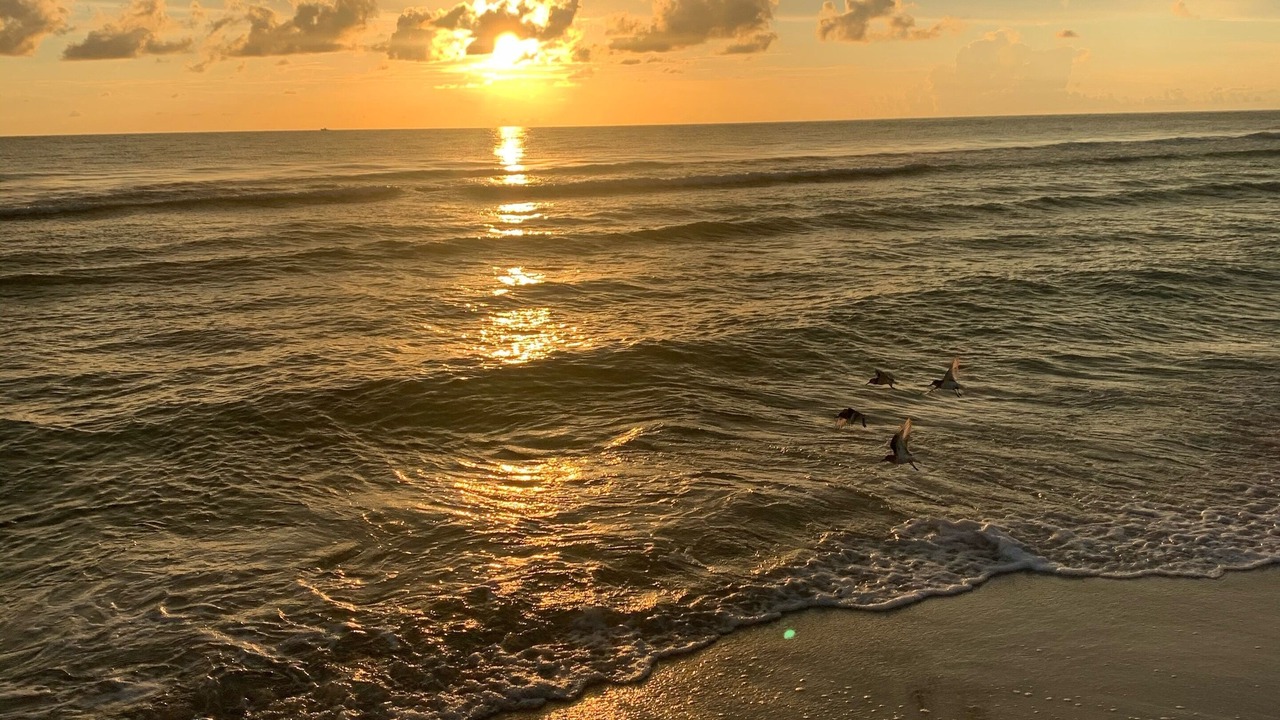 Photo of Others in Vanderbilt Beach