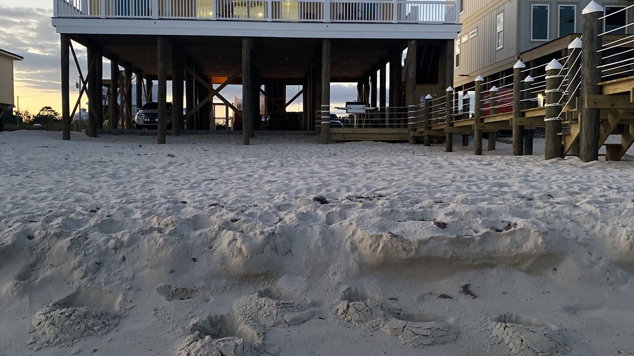 Photo of Others in Surf Side Shores