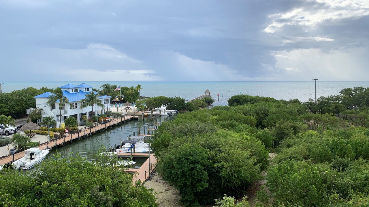 Photo of Others in Tavernier