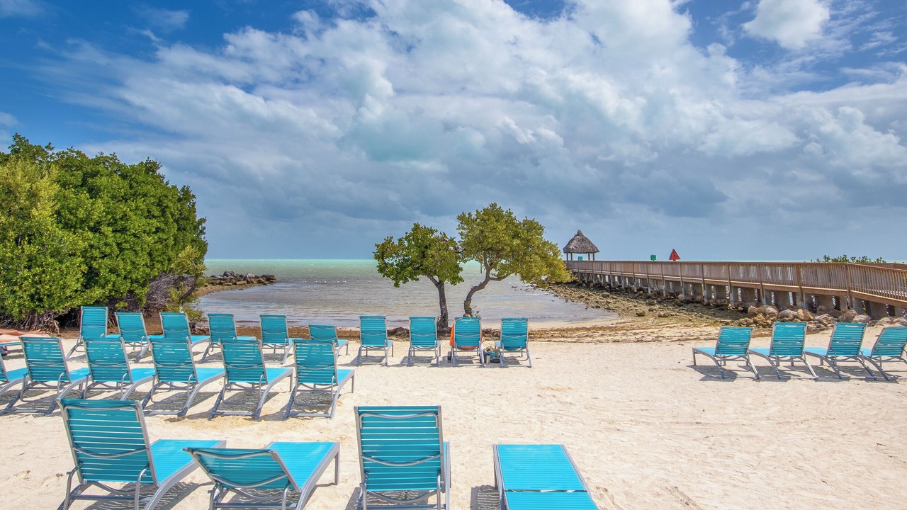 Photo of Others in Tavernier