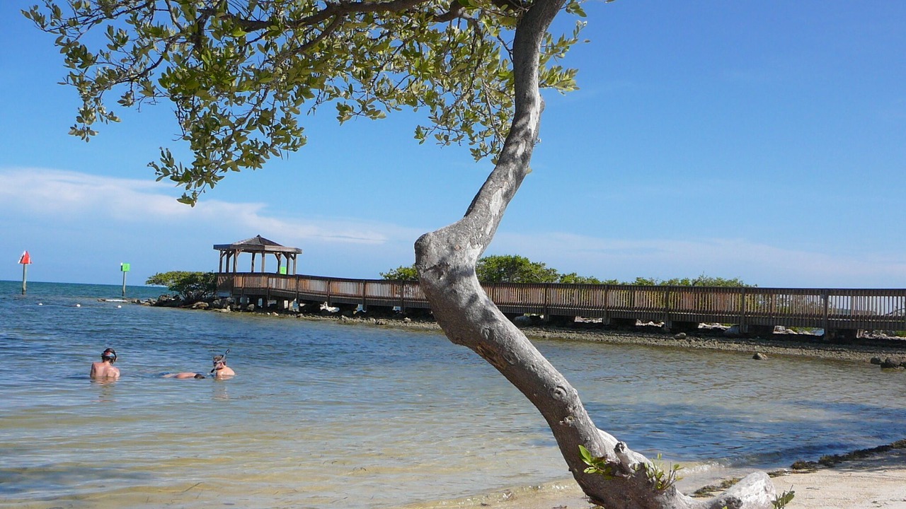 Photo of Others in Tavernier