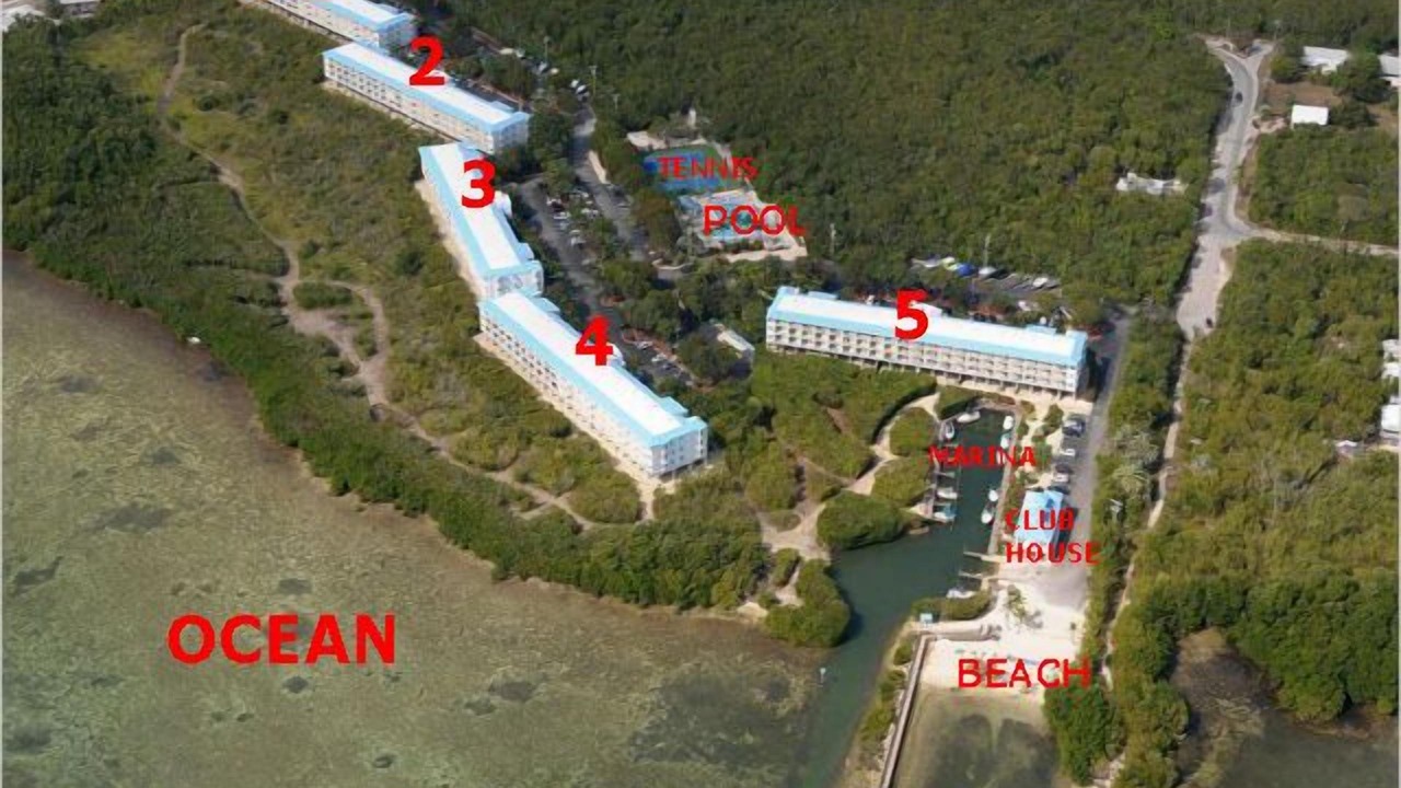 Photo of Others in Tavernier
