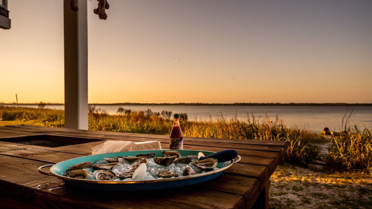 Photo of Outdoor in Alligator Point