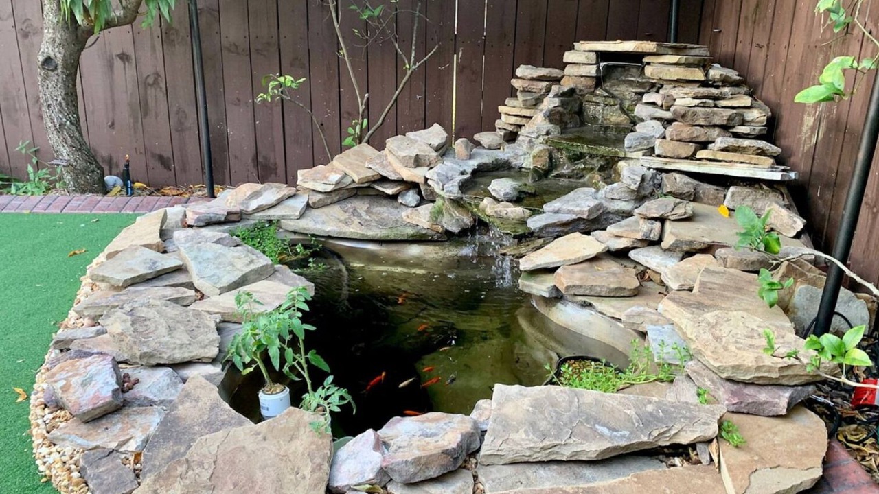 Photo of Outdoor in Titusville