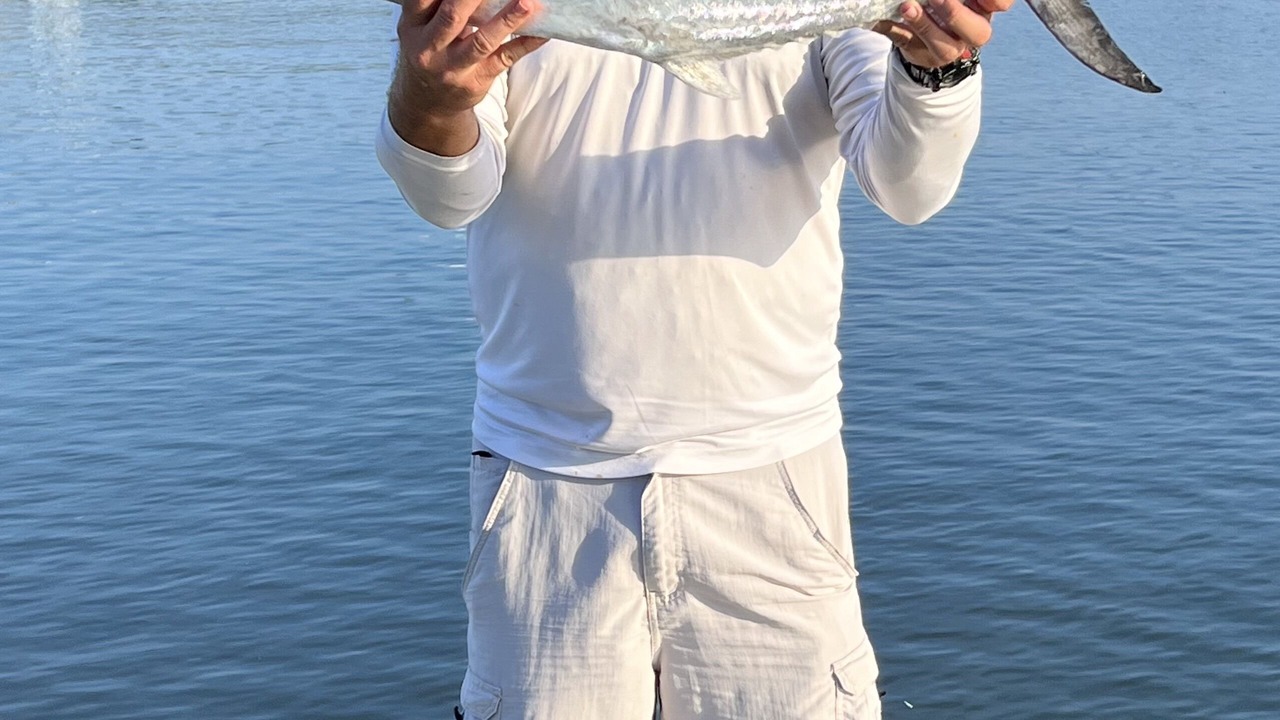 Photo of Others in Nettles Island