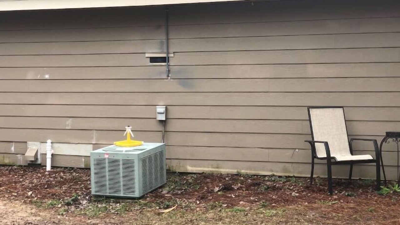 Photo of Outdoor in Gulf Breeze