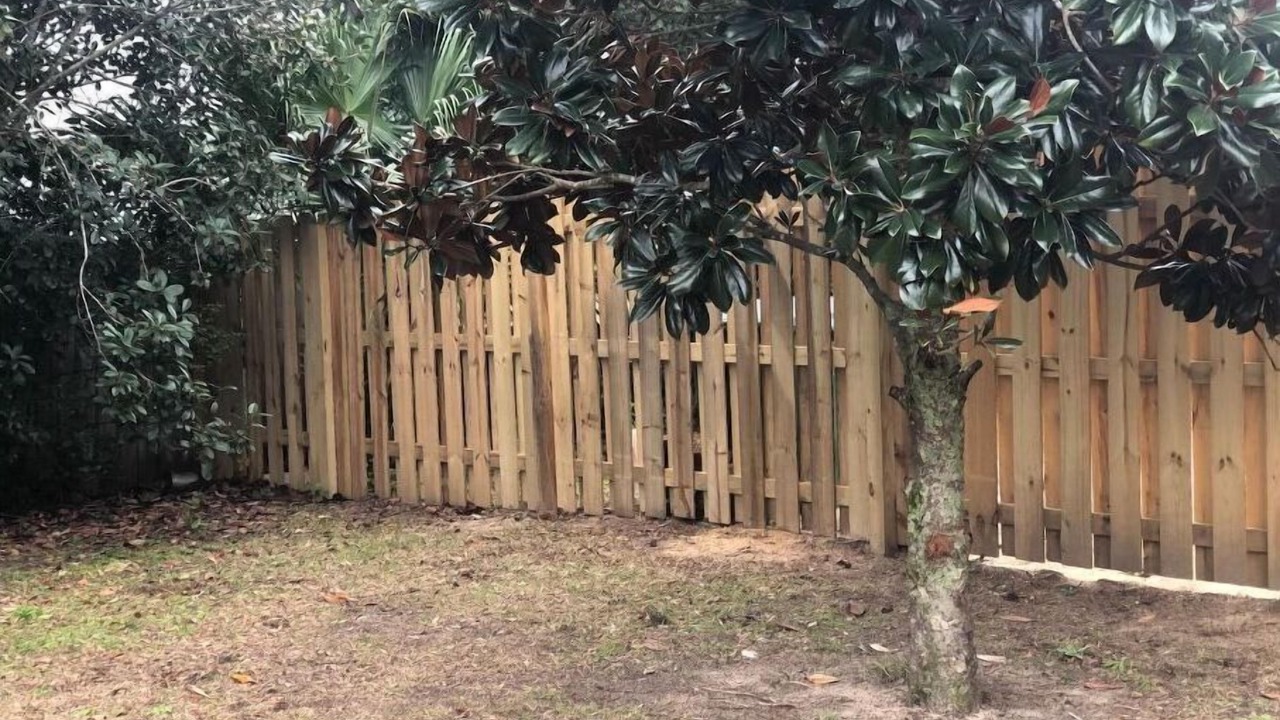 Photo of Outdoor in Gulf Breeze