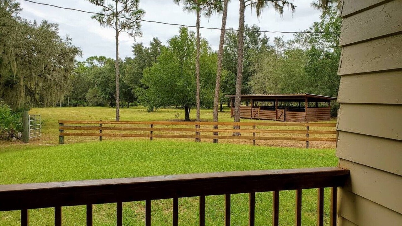 Photo of Outdoor in Myakka City