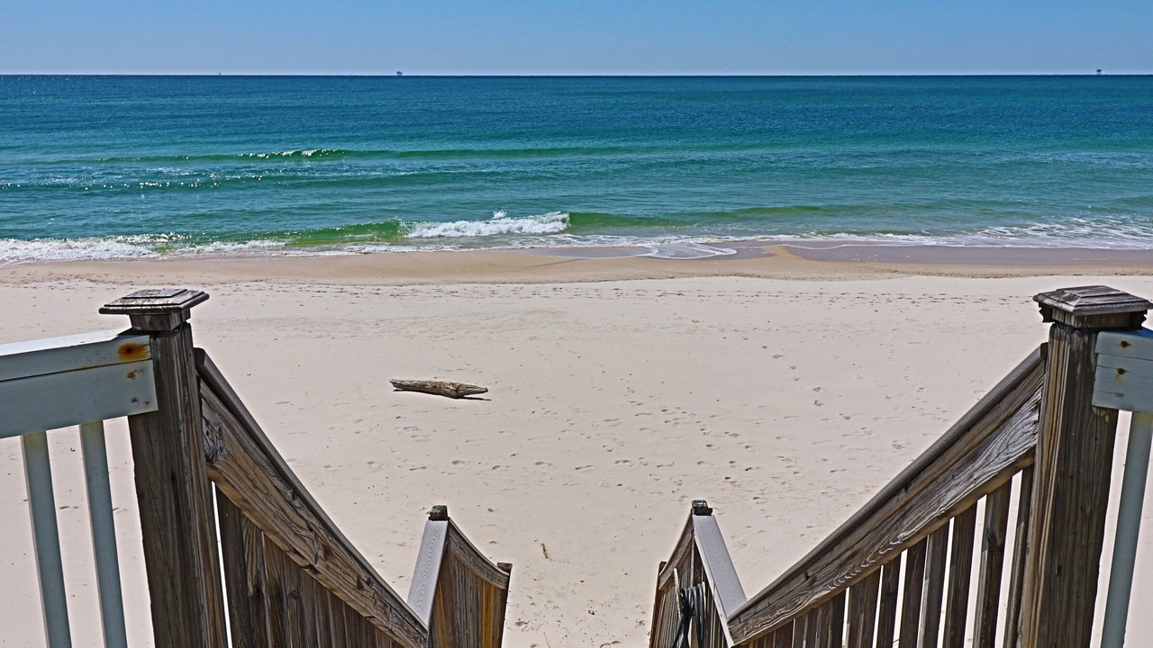 Photo of Others in Surf Side Shores