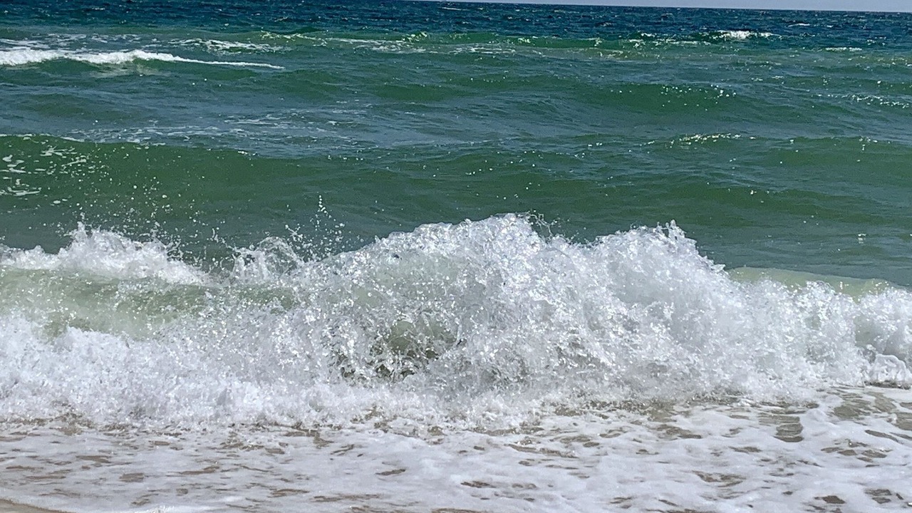 Photo of Others in Surf Side Shores