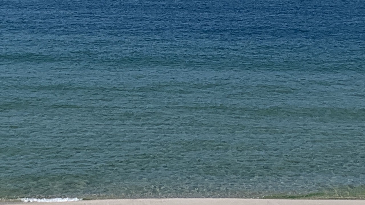 Photo of Others in Surf Side Shores