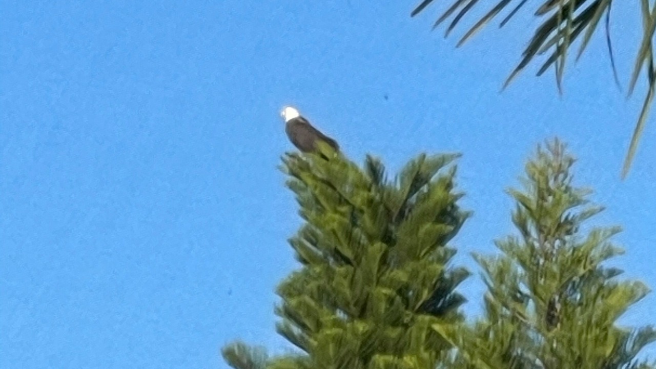 Photo of Others in South Gulf Cove