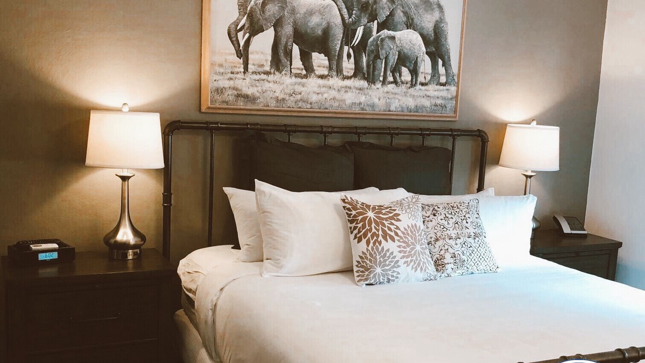 Photo of Bedroom in Palm Beach