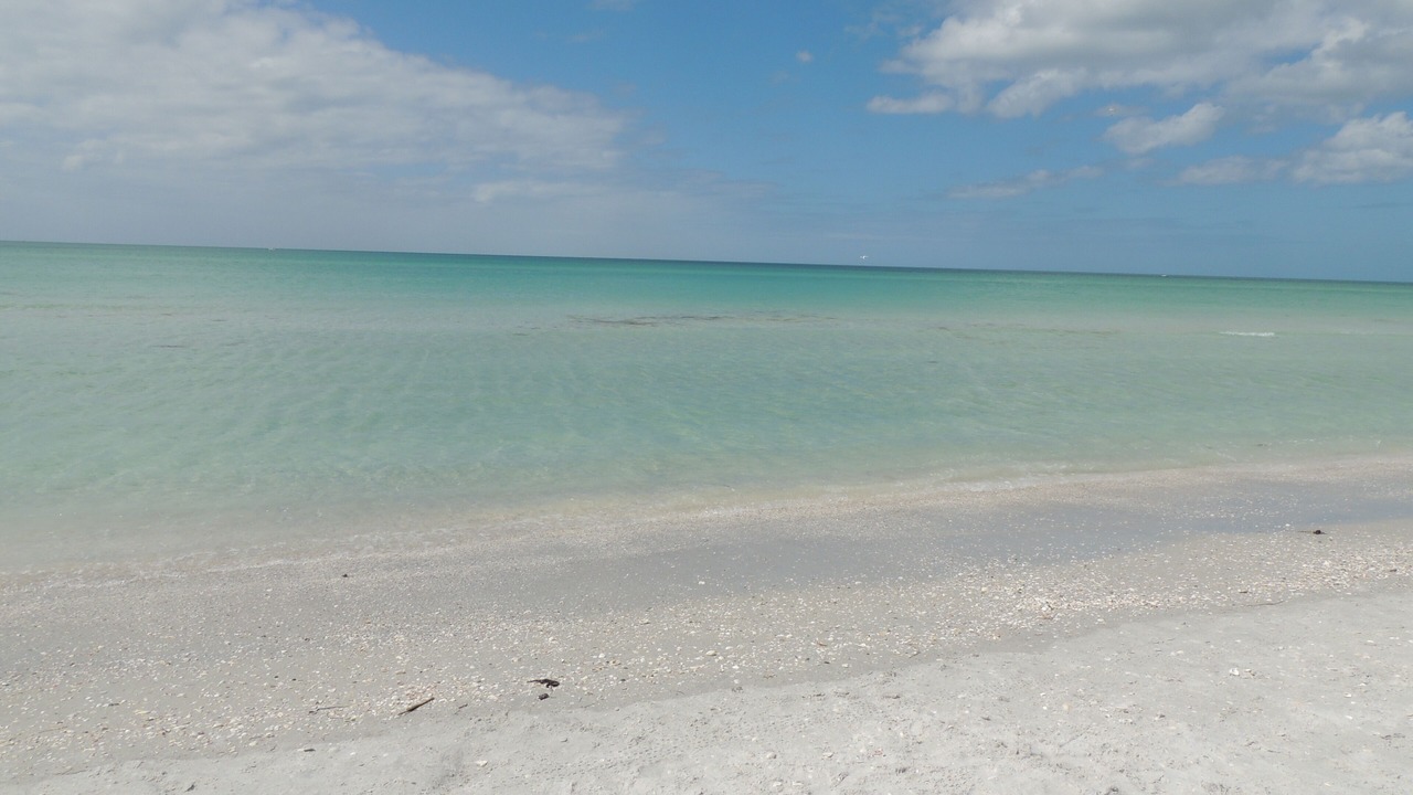 Photo of Others in Placida