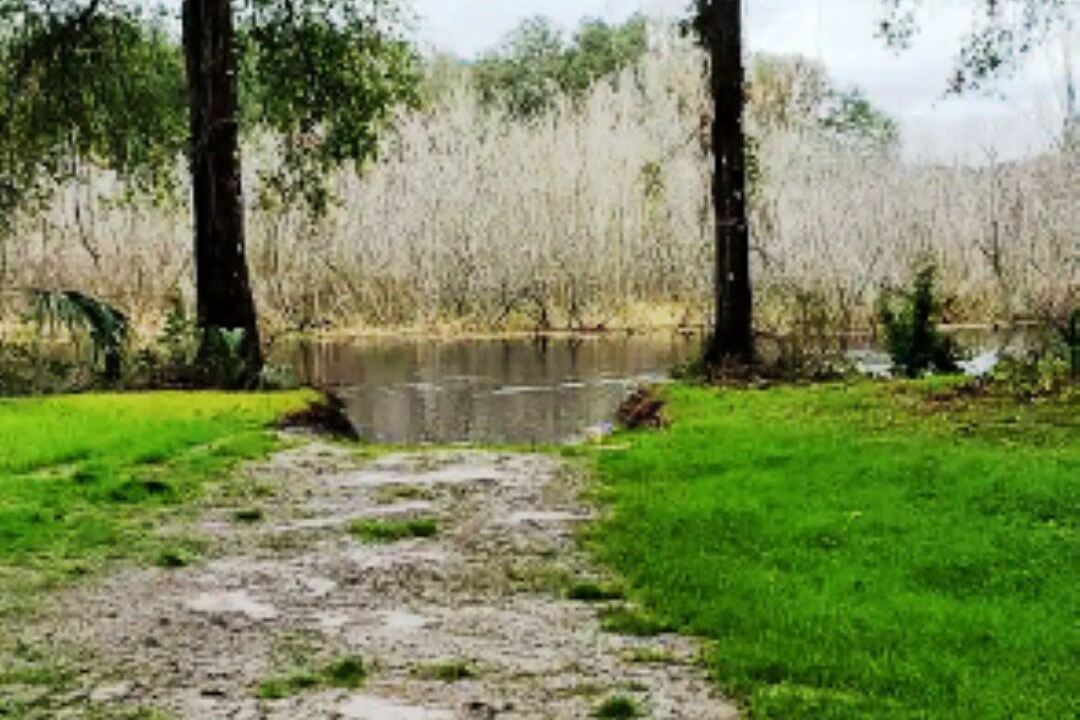 Photo of Outdoor in Floral City