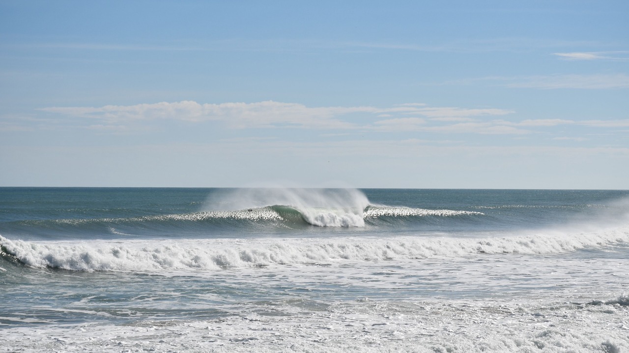 Photo of Others in Indian Harbour Beach