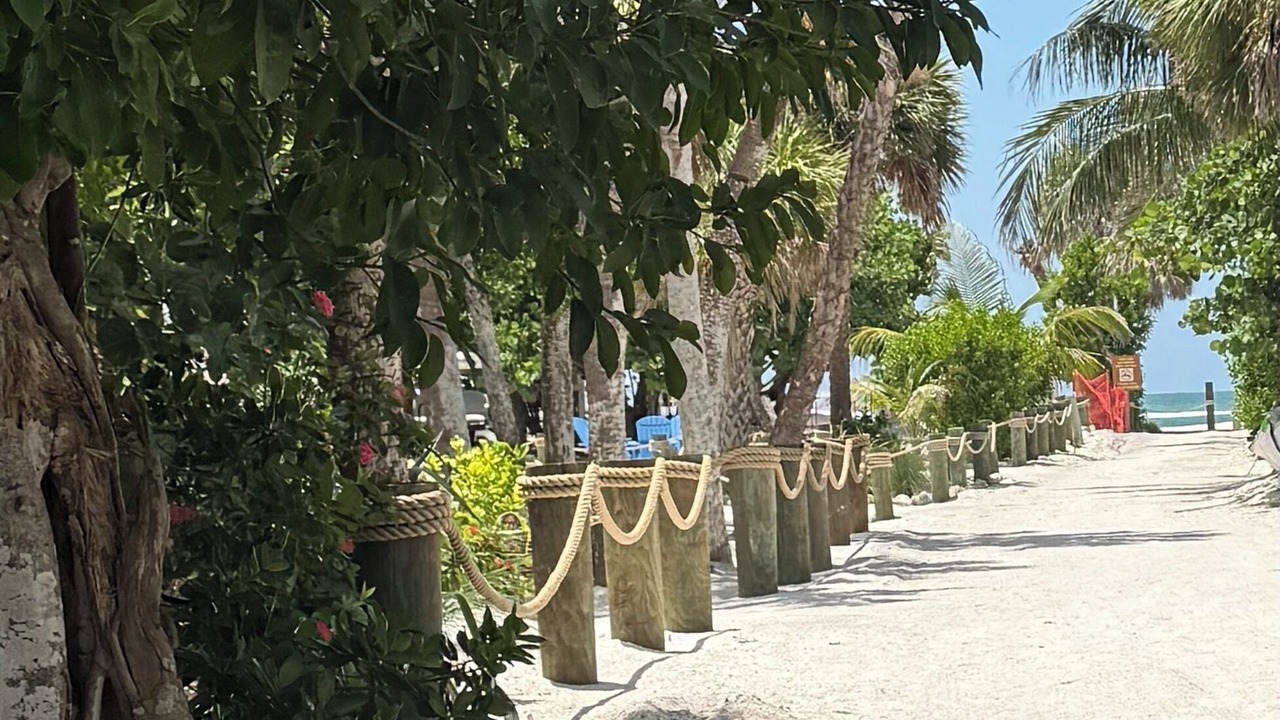Photo of Others in Jose's Hideaway