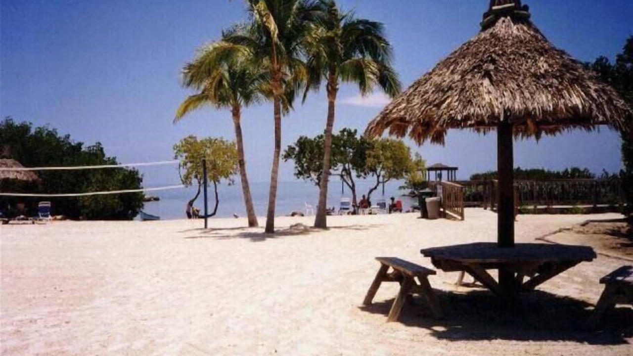 Photo of Others in Tavernier