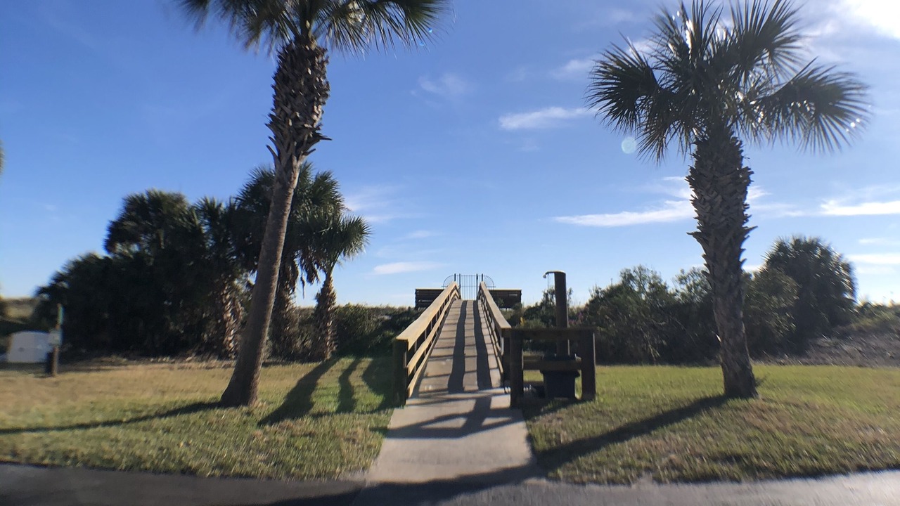 Photo of Others in St. Augustine Beach