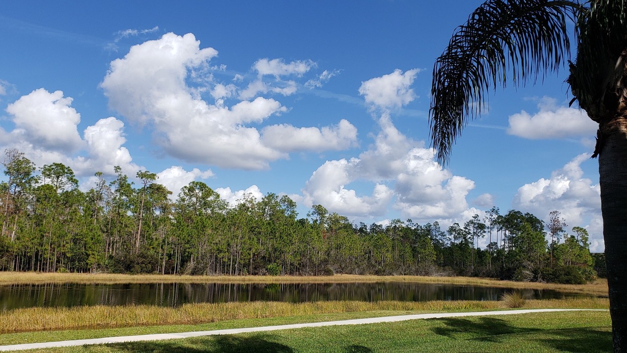 Photo of Others in Fort Myers