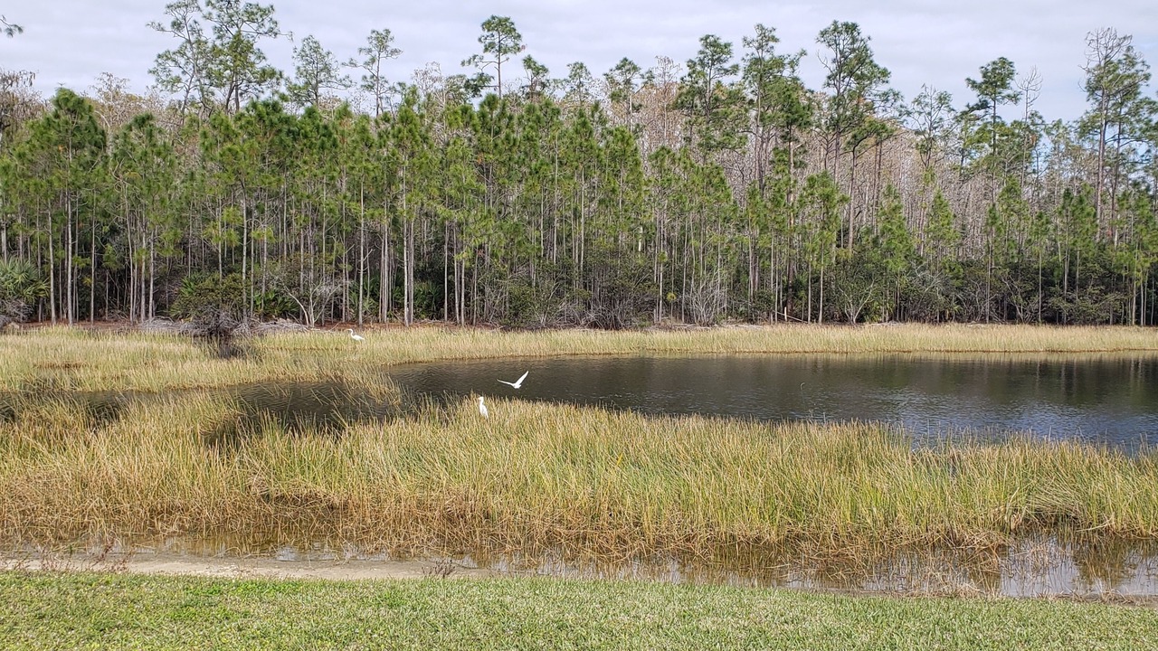 Photo of Others in Fort Myers