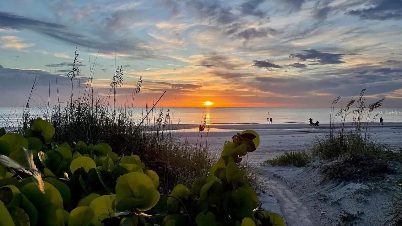 Photo of Others in Belleair Beach