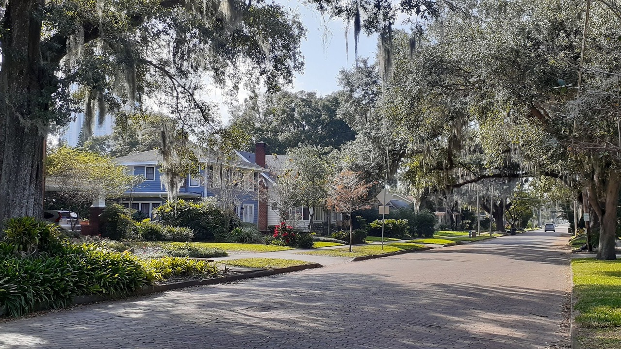 Photo of Outdoor in Lake Eola Heights