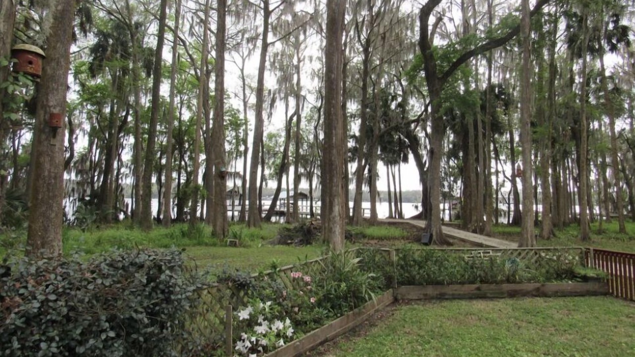 Photo of Outdoor in Crescent City
