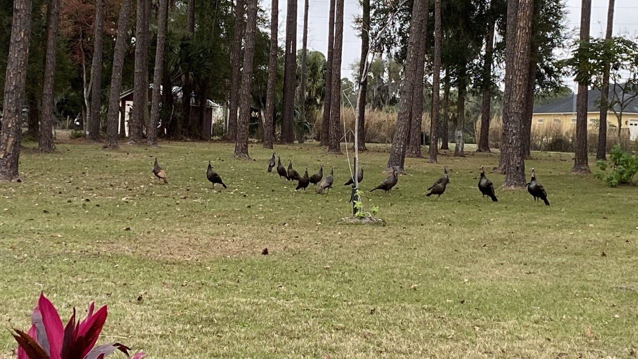 Photo of Others in Crescent City
