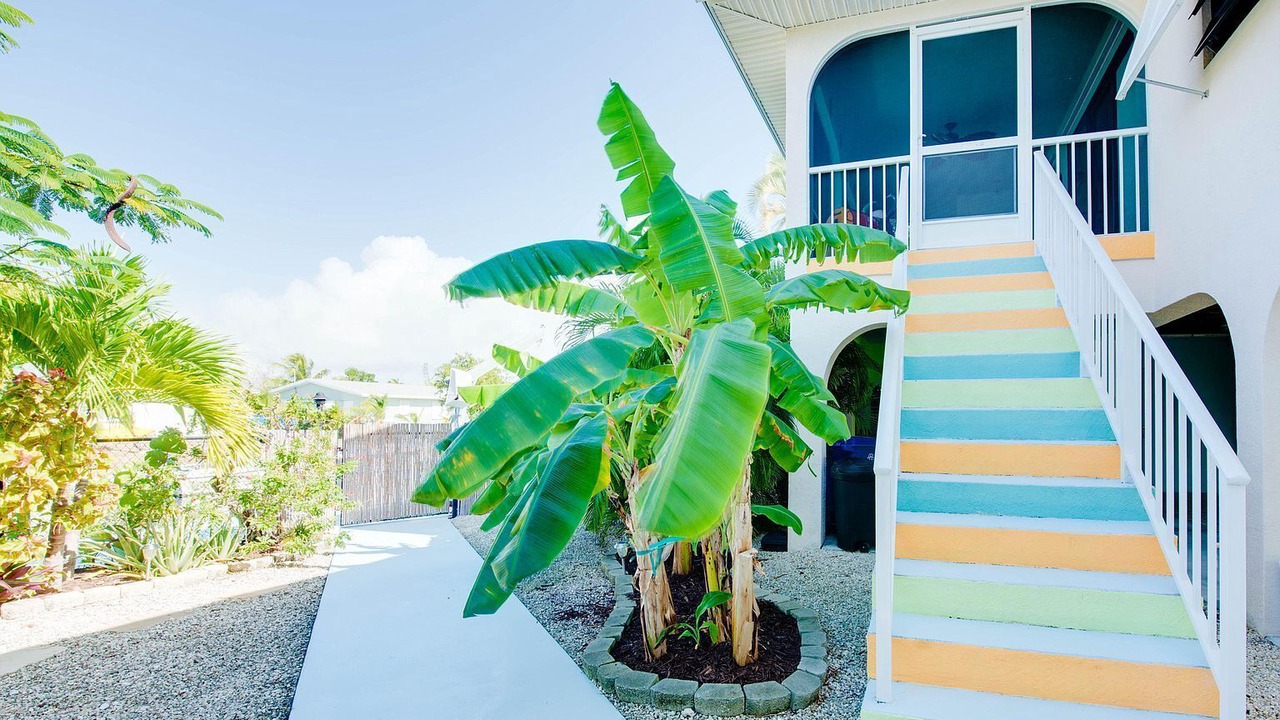 Photo of Outdoor in Tropical Bay Estates