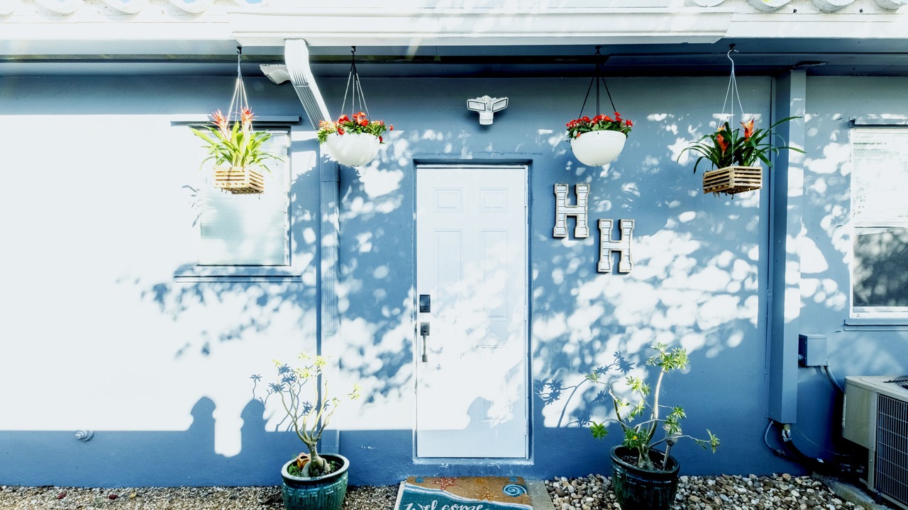 Photo of Outdoor in Royal Poinciana