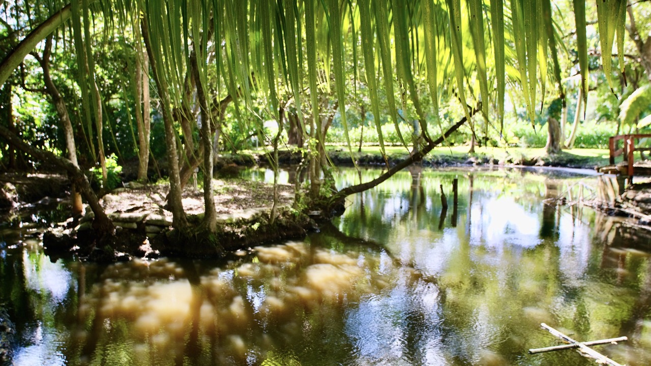 Photo of Outdoor in Southwest Ranches