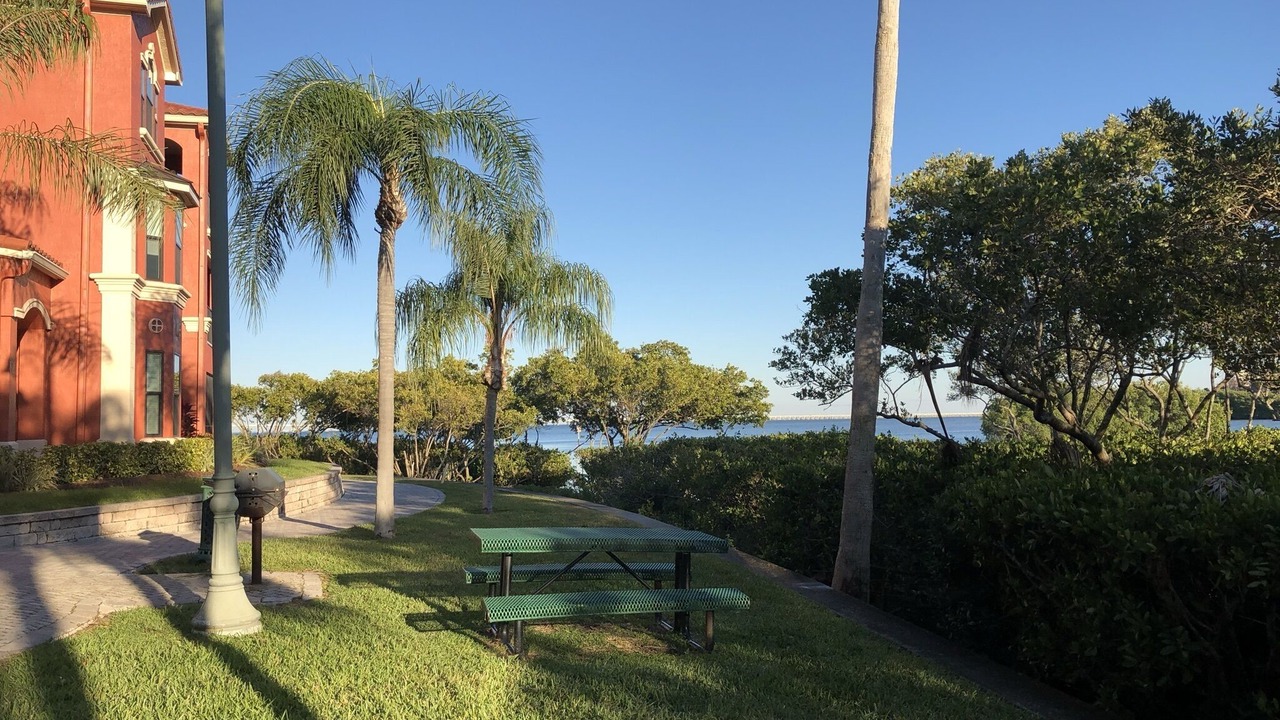 Photo of Outdoor in Clearwater