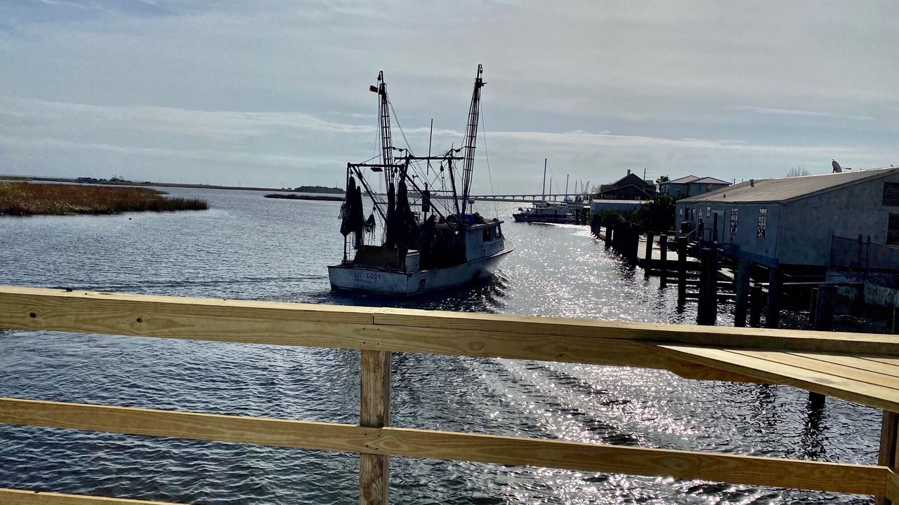 Photo of Others in Apalachicola