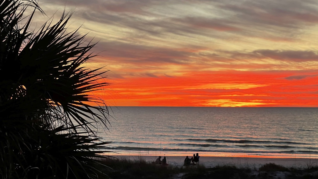 Photo of Others in Redington Shores