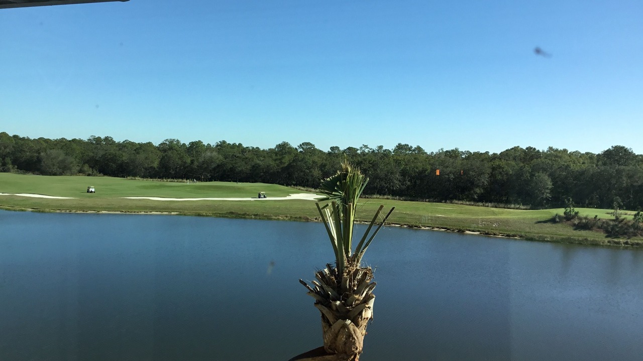 Photo of Others in Lakewood Ranch