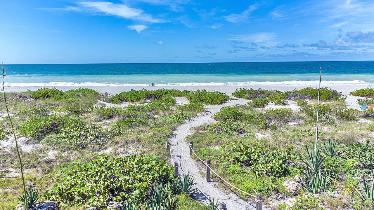 Photo of Others in Captiva