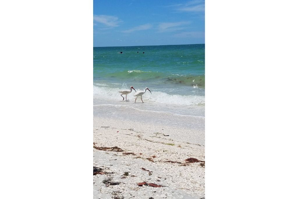 Photo of Others in Bonita Bay