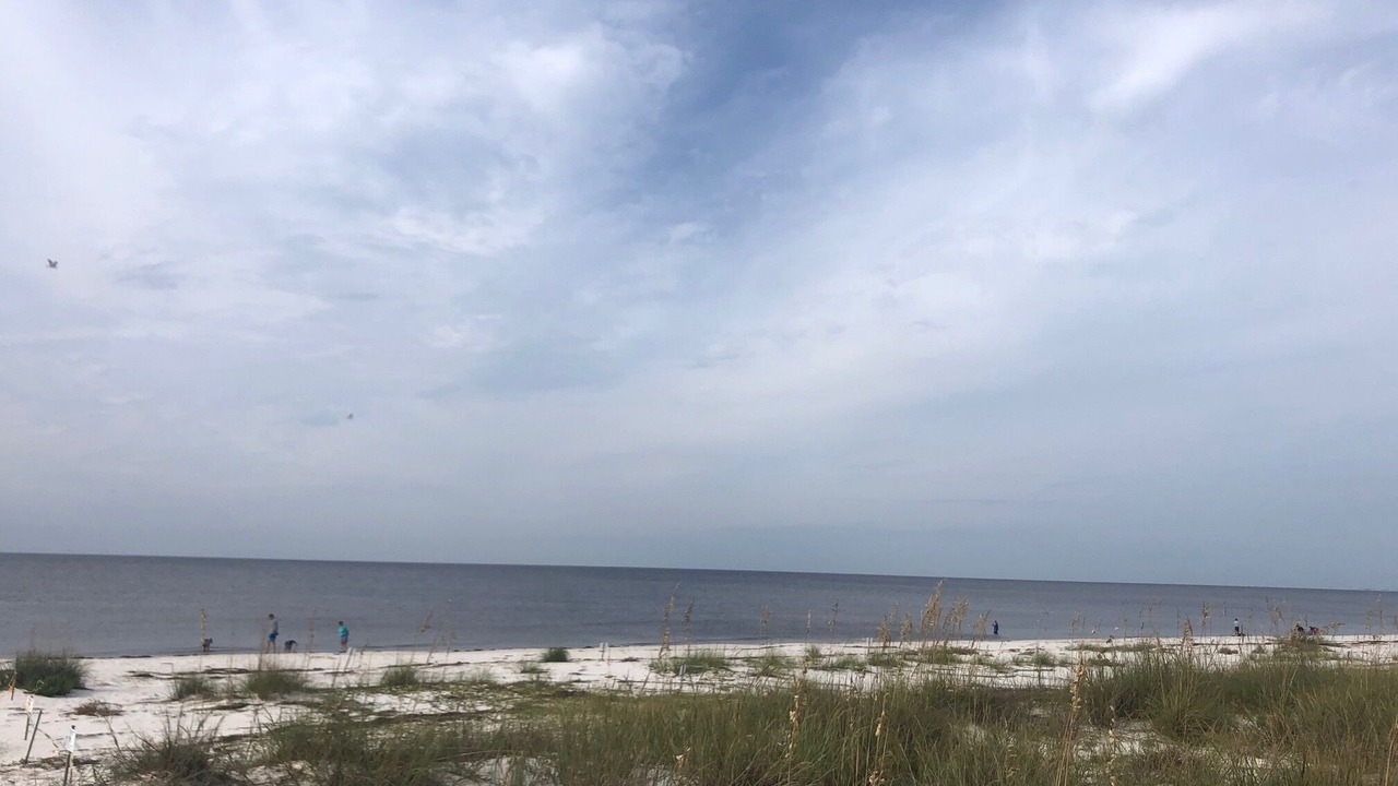Photo of Others in Alligator Point