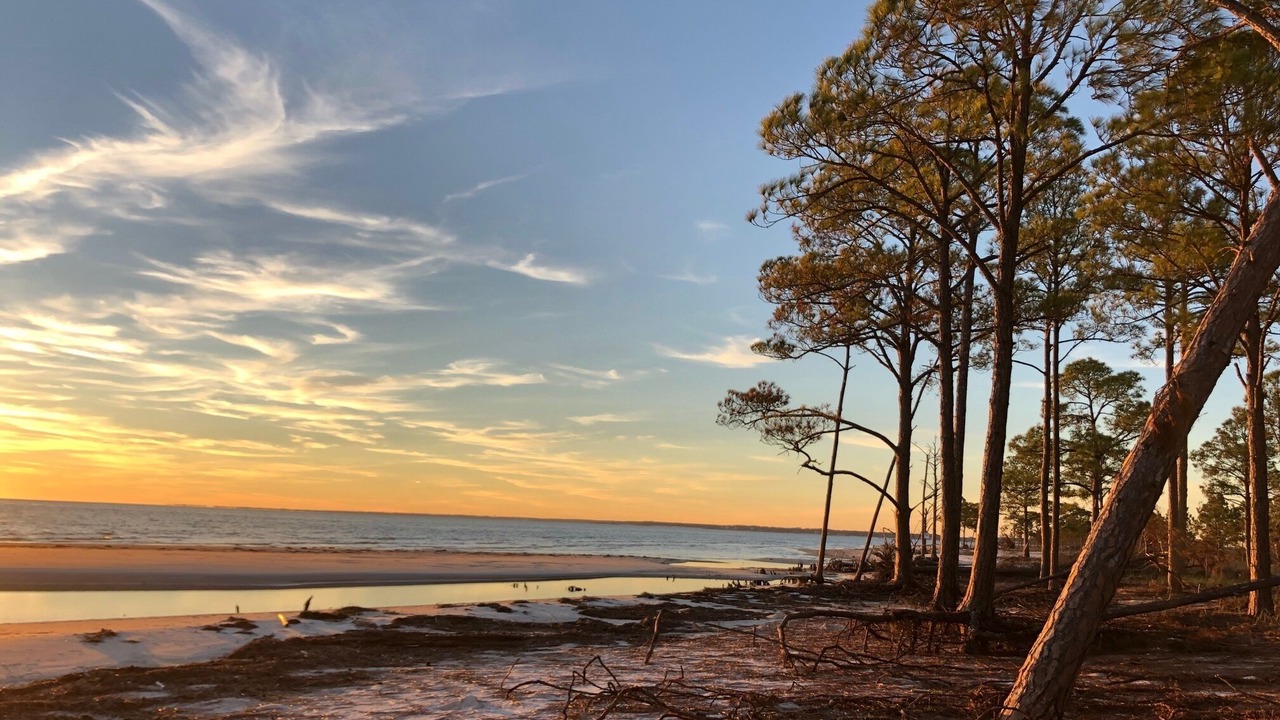 Photo of Others in Alligator Point