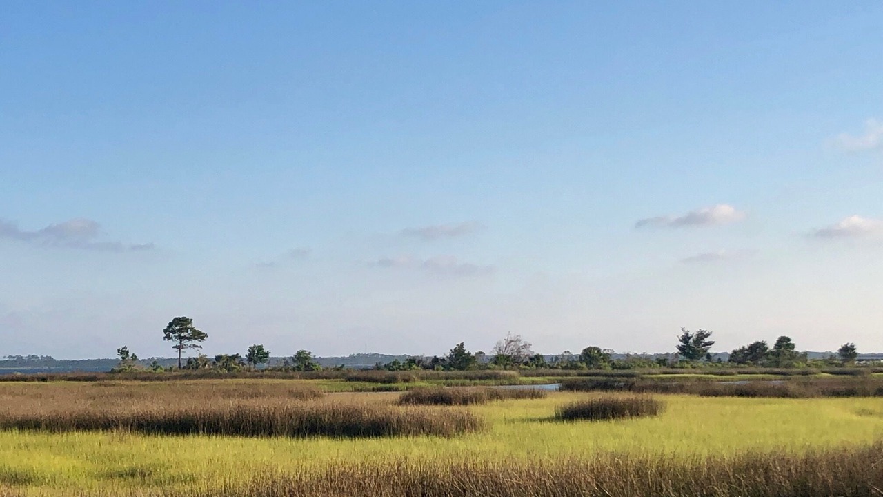 Photo of Others in Alligator Point