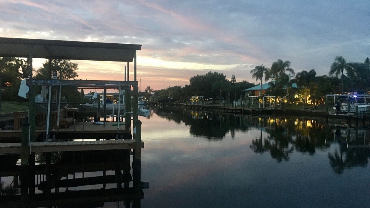 Photo of Others in Apollo Beach